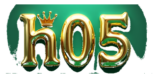 h05